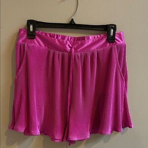 Blue B Collection The Leila Magenta Shorts NWT Size Large